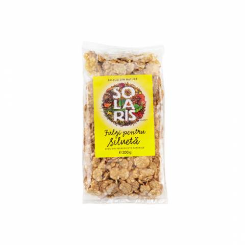 Fulgi pentru silueta 200g (SOLARIS)